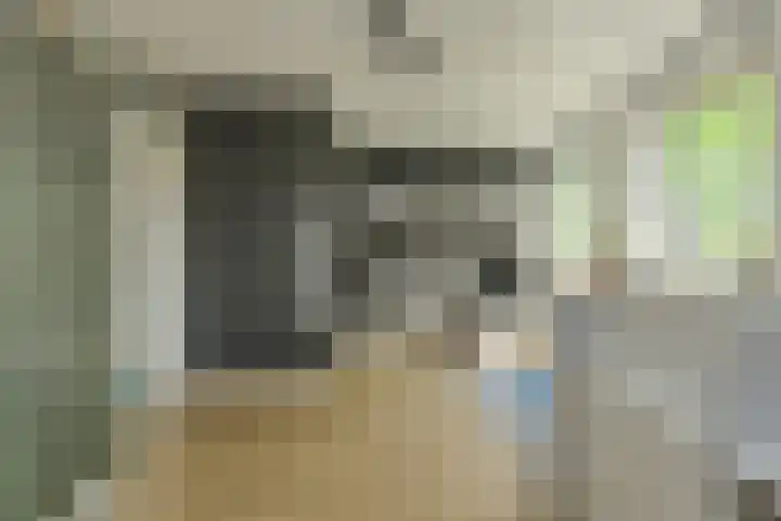 Komoord 5 Breda thumbnail 28