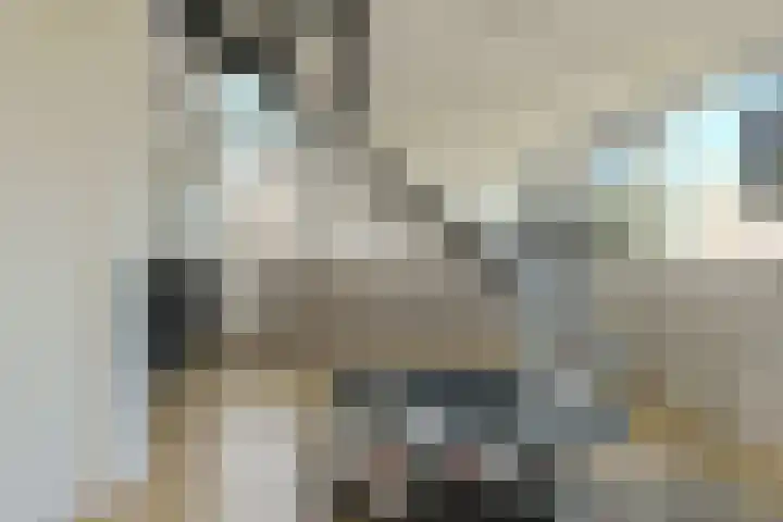 Komoord 5 Breda thumbnail 43
