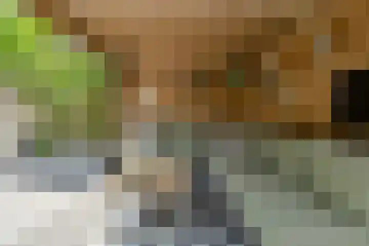 Komoord 5 Breda thumbnail 51