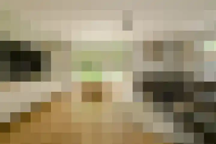 Komoord 5 Breda thumbnail 7
