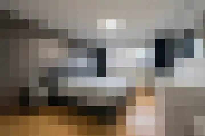 Kompas 10 Nijkerk thumbnail 16