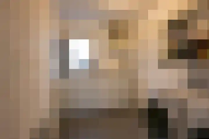 Kompas 10 Nijkerk thumbnail 36