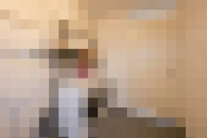 Kompas 10 Nijkerk thumbnail 37