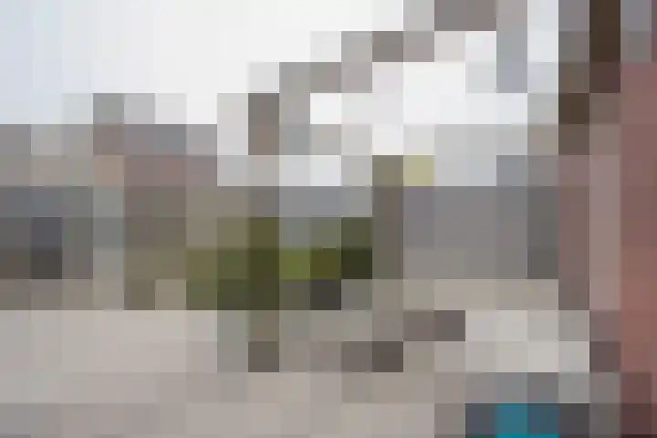 Kompas 10 Nijkerk thumbnail 41