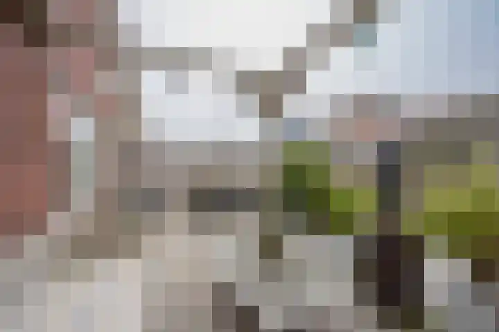 Kompas 10 Nijkerk thumbnail 42