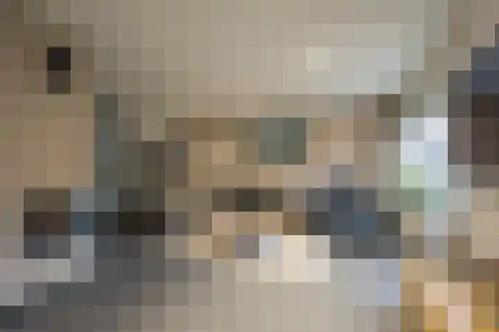 Kompas 10 Nijkerk thumbnail 5