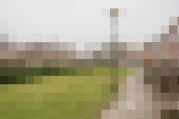 Kompas 10 Nijkerk thumbnail 50