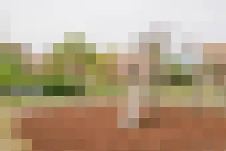 Kompas 10 Nijkerk thumbnail 52