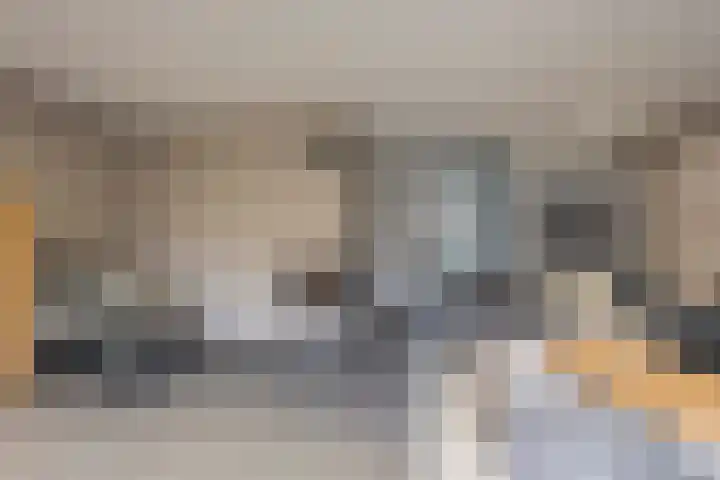 Kompas 10 Nijkerk thumbnail 7