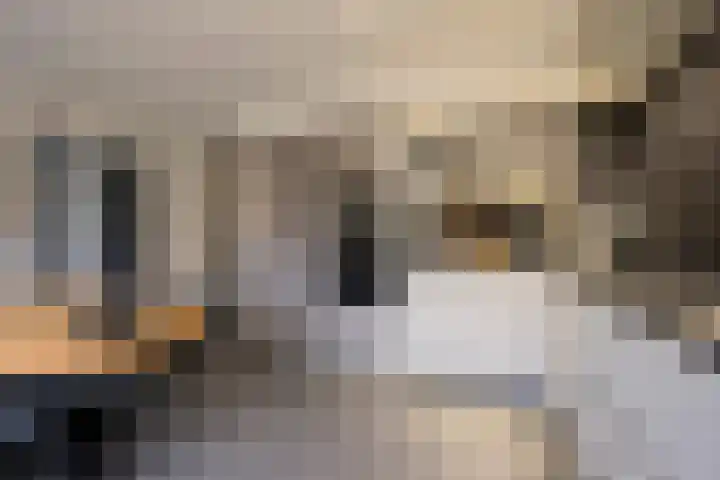 Kompas 10 Nijkerk thumbnail 9