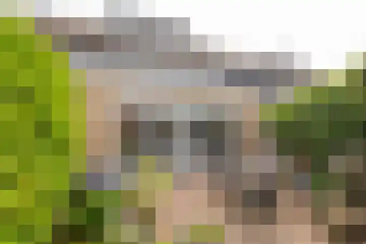 Kompas 11 Nijkerk thumbnail 23