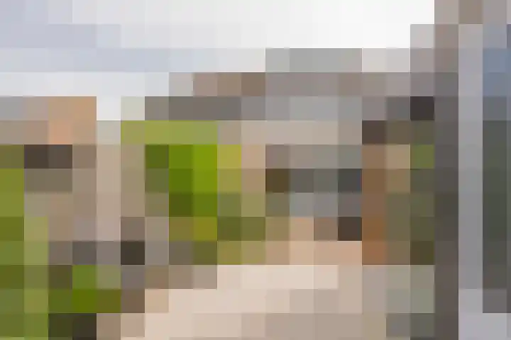 Kompas 11 Nijkerk thumbnail 28