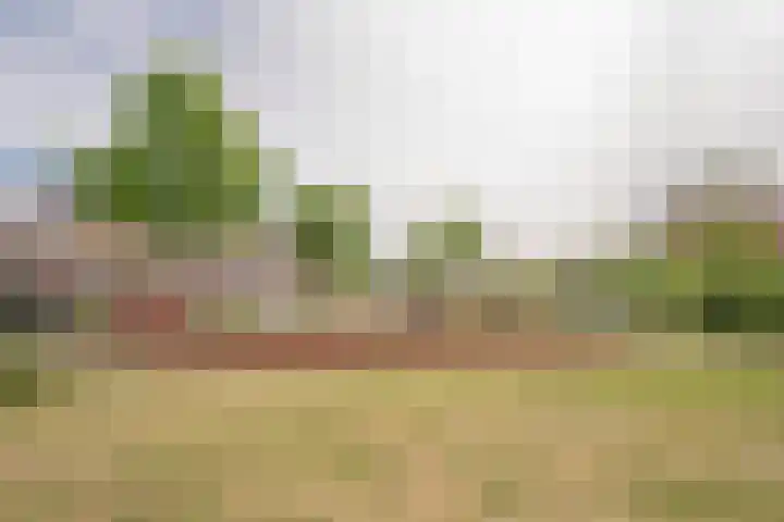 Kompas 11 Nijkerk thumbnail 35
