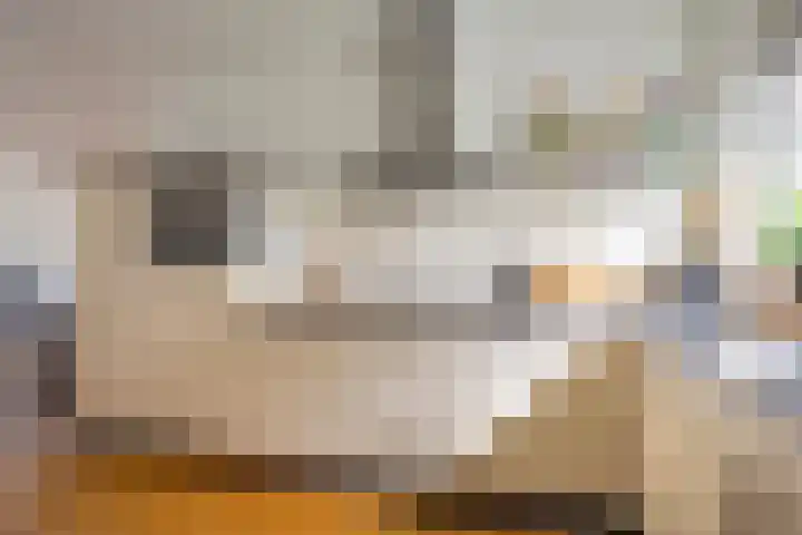 Kompas 11 Nijkerk thumbnail 7