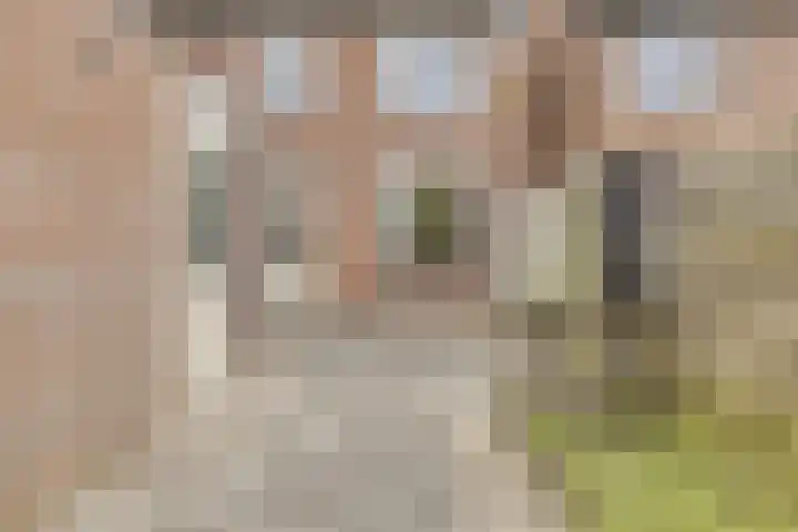 Kompas 14 Hellevoetsluis thumbnail 22
