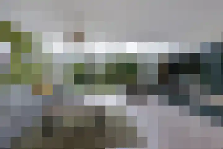 Kompas 17 Joure thumbnail 11