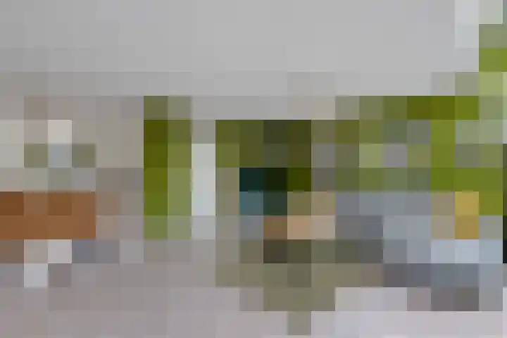 Kompas 17 Joure thumbnail 12
