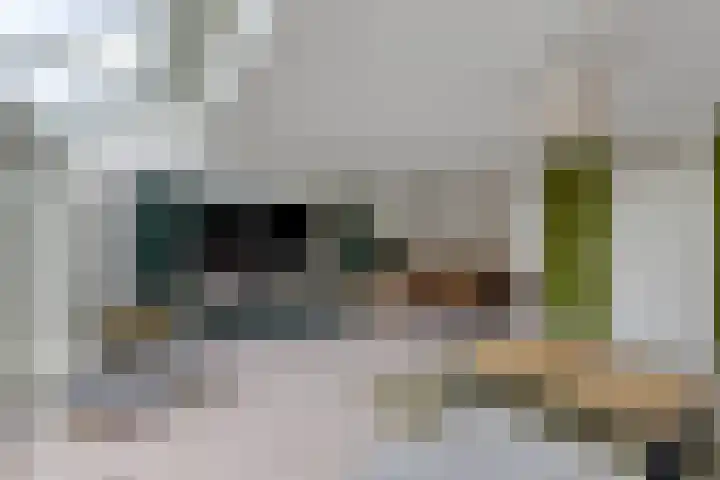 Kompas 17 Joure thumbnail 14