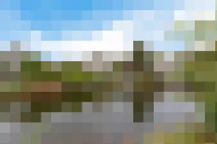 Kompas 17 Joure thumbnail 42