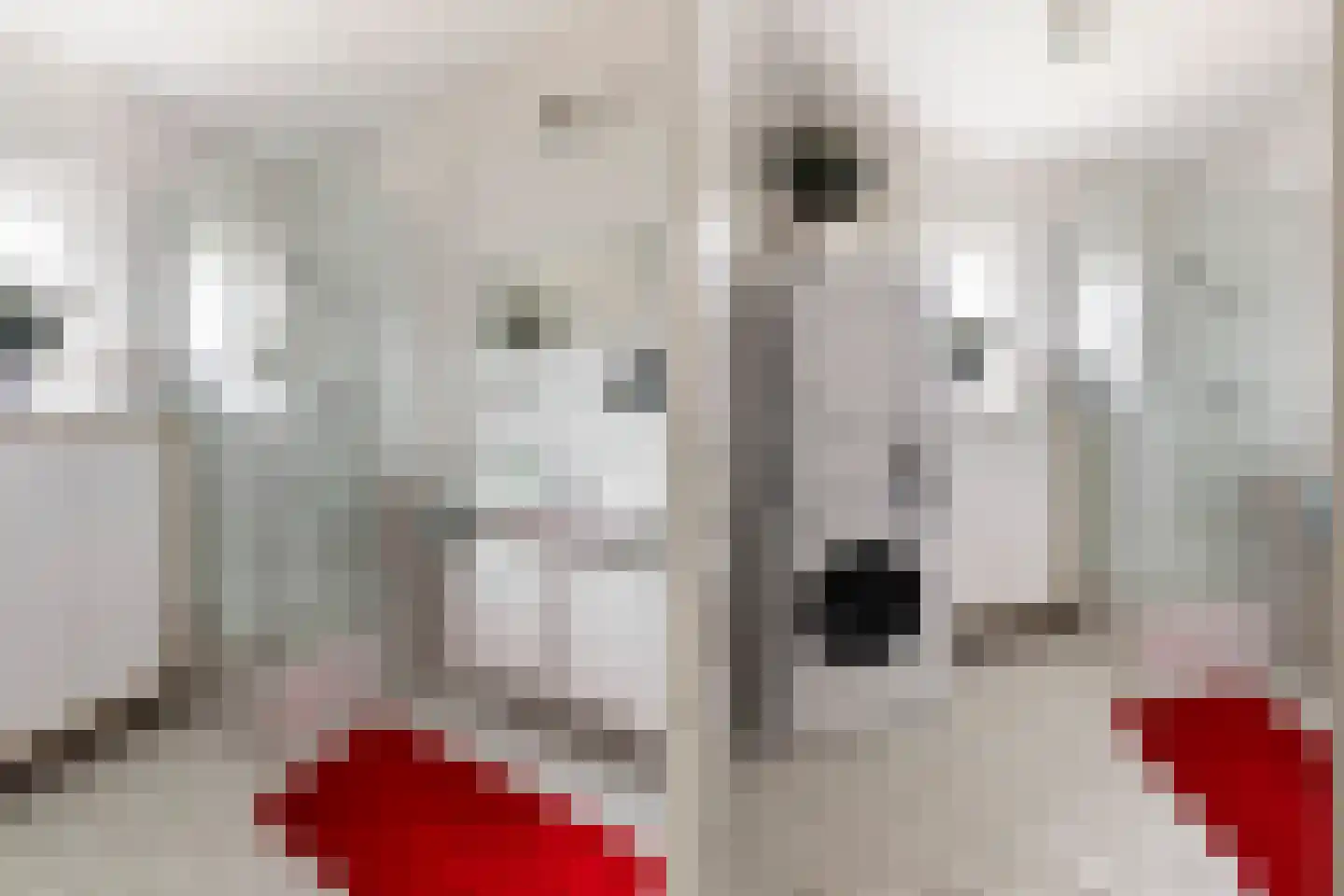 Kompas 2 Nijkerk thumbnail 4