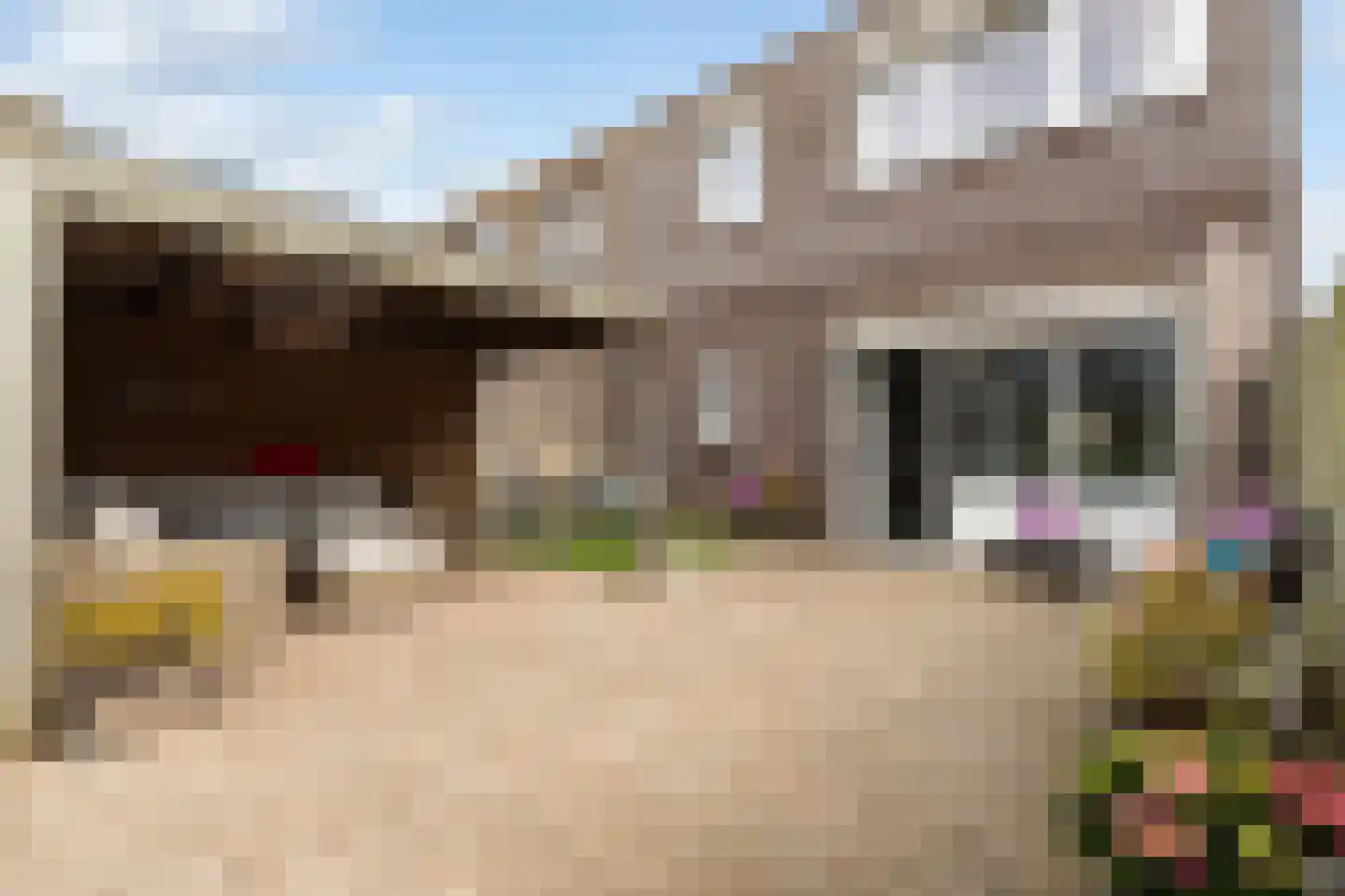Kompas 2 Nijkerk thumbnail 5