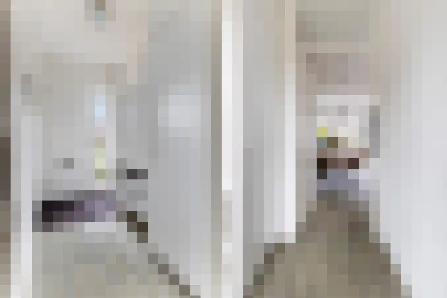 Kompas 2 Nijkerk thumbnail 7