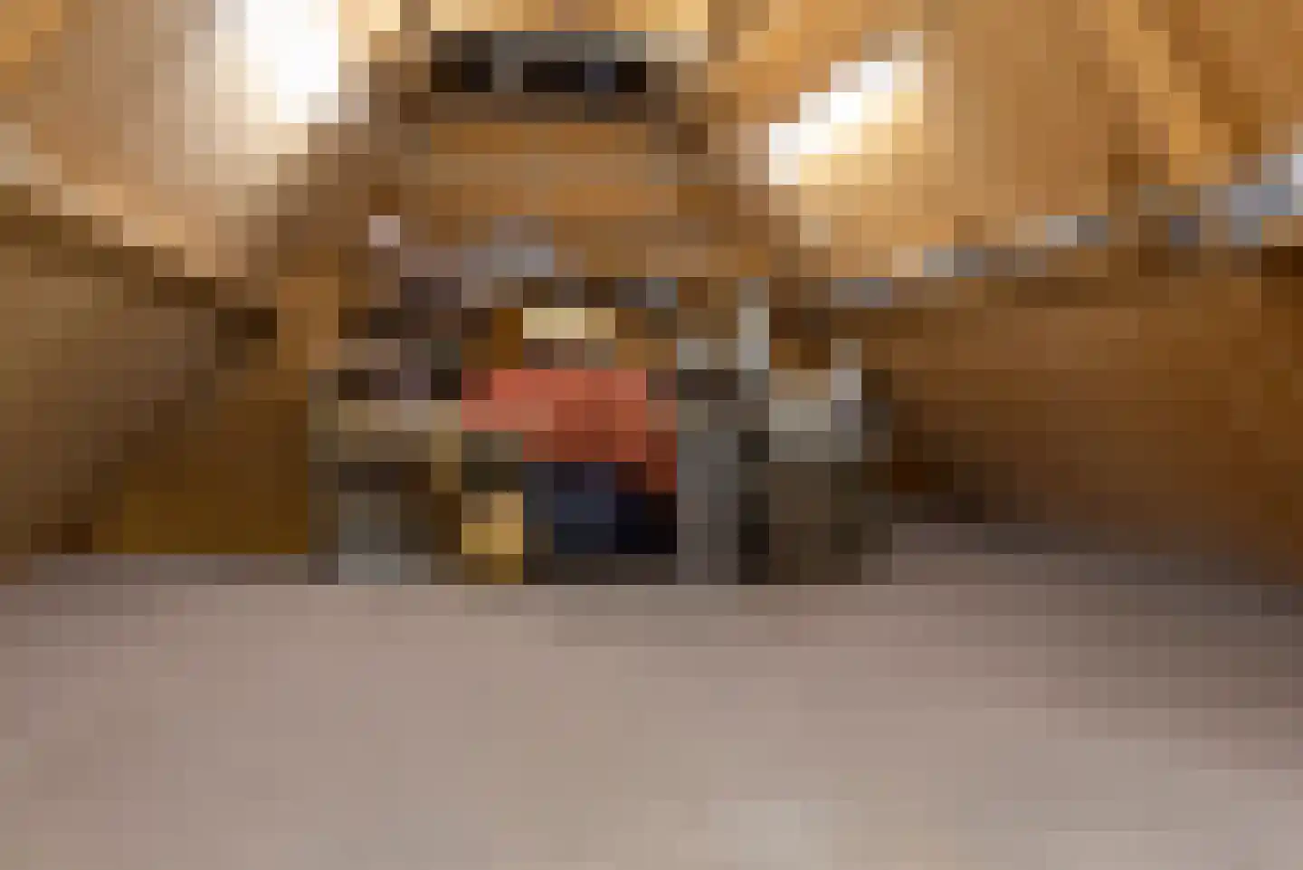 Kompas 2 Veenendaal thumbnail 34