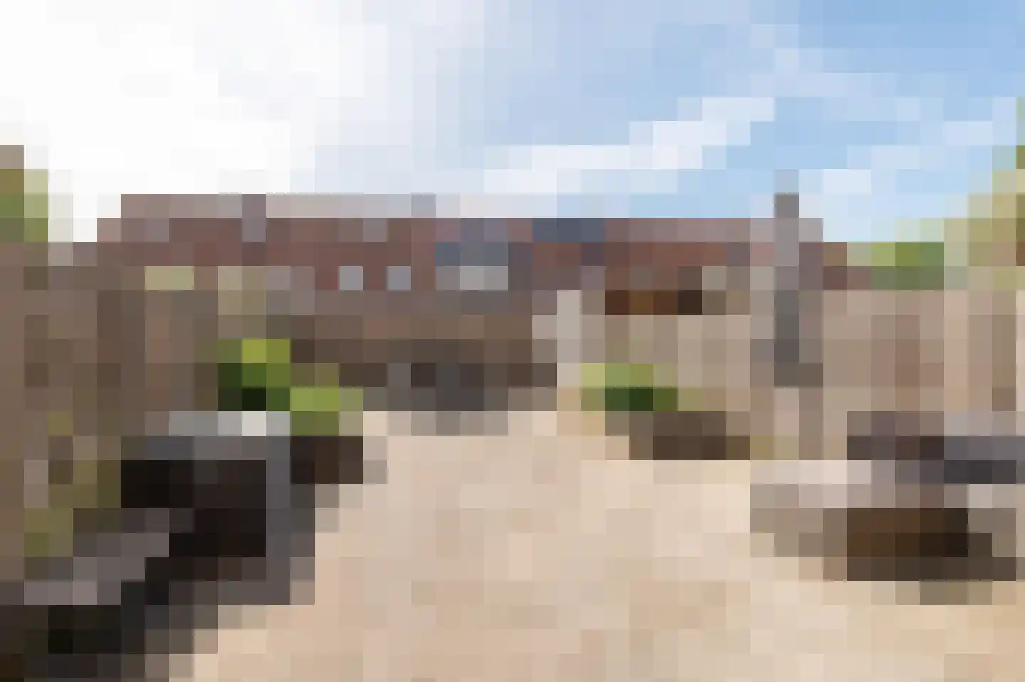 Kompas 25 Wijk bij Duurstede thumbnail 13