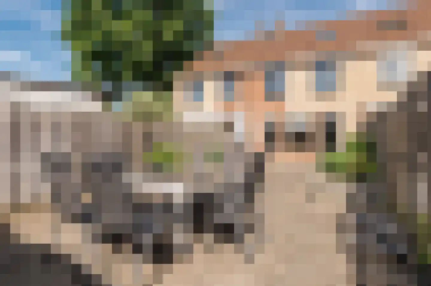 Kompas 25 Wijk bij Duurstede thumbnail 15