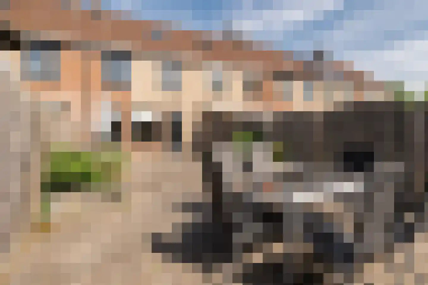 Kompas 25 Wijk bij Duurstede thumbnail 16