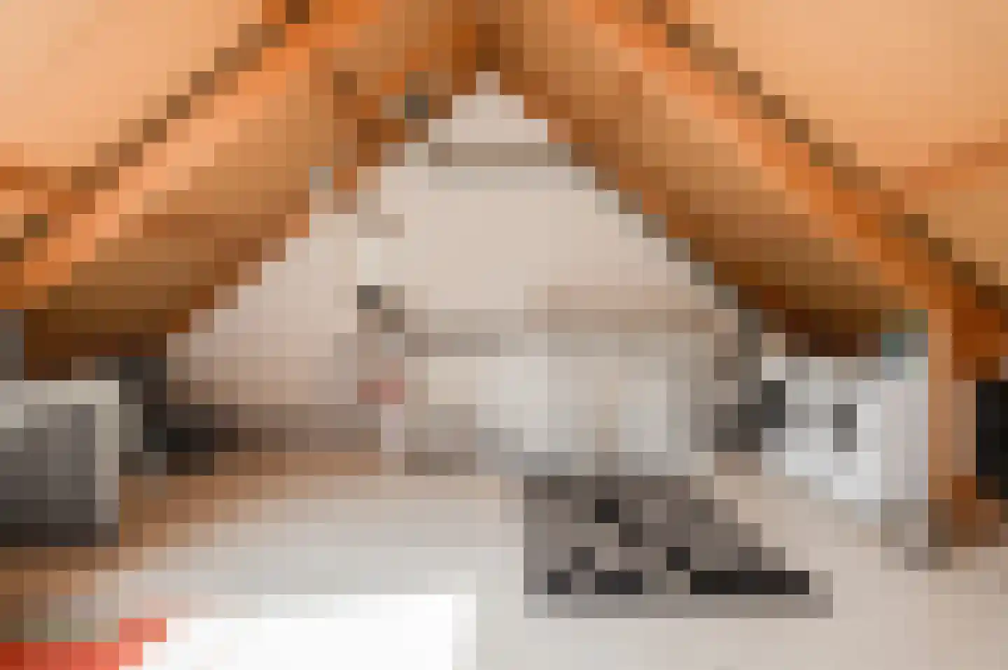 Kompas 25 Wijk bij Duurstede thumbnail 28
