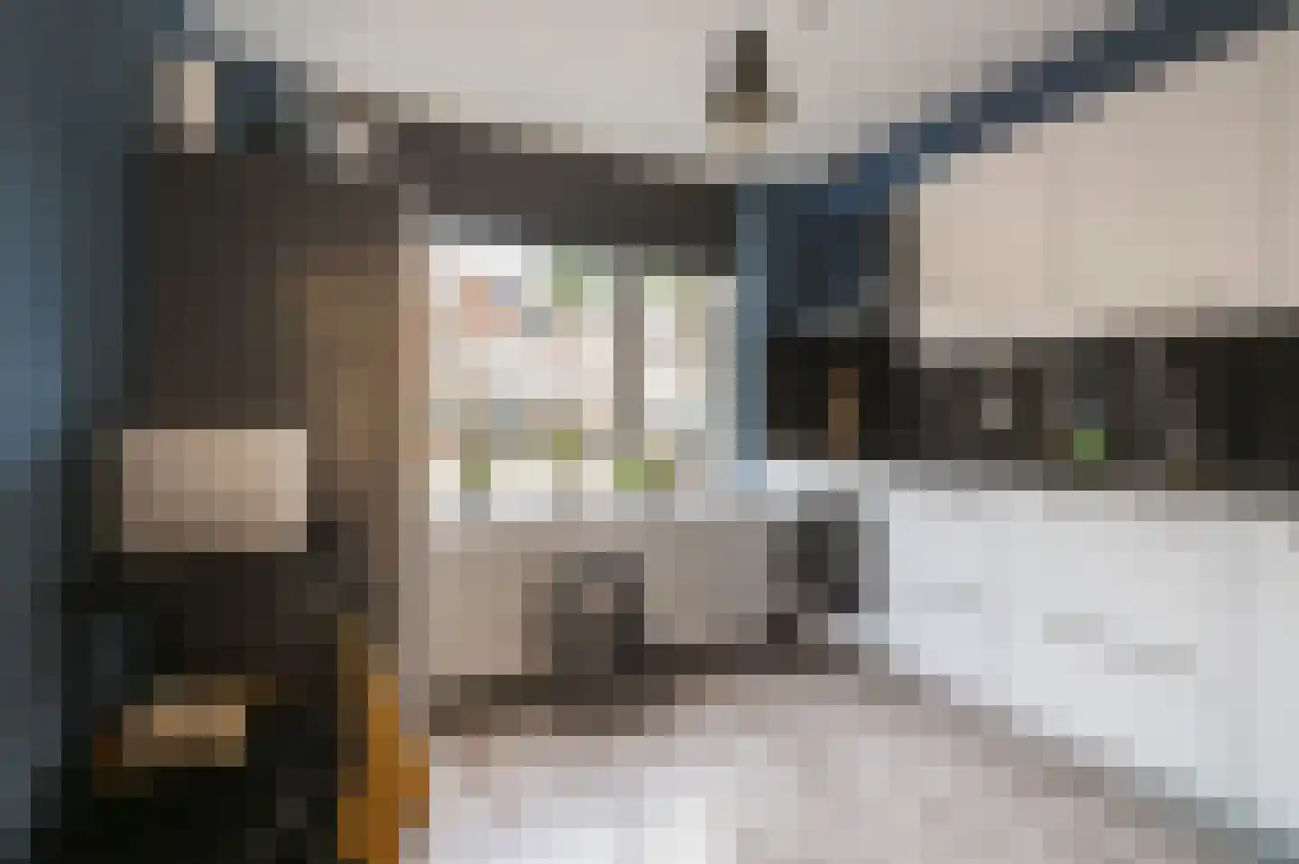 Kompas 25 Wijk bij Duurstede thumbnail 9
