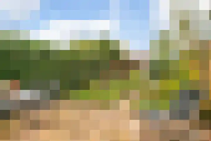 Kompas 7 Nijkerk thumbnail 15