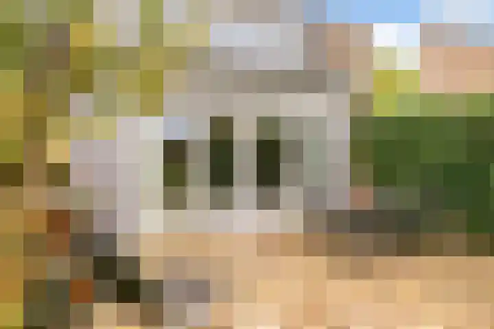 Kompas 7 Nijkerk thumbnail 16