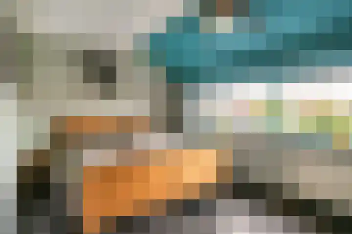 Kompas 7 Nijkerk thumbnail 20