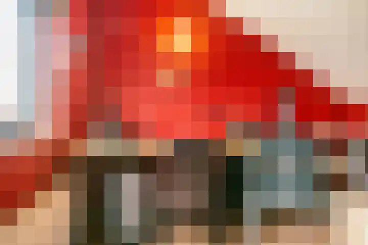 Kompas 7 Nijkerk thumbnail 26