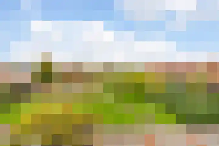 Kompas 7 Nijkerk thumbnail 27