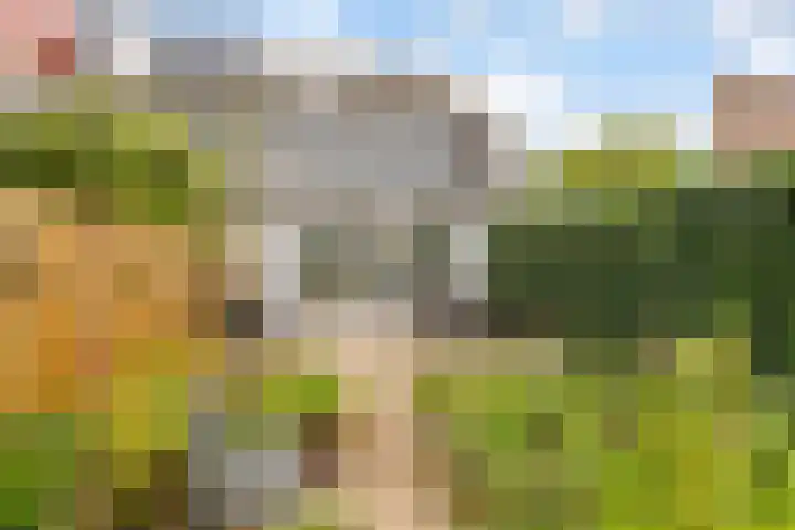 Kompas 7 Nijkerk thumbnail 4