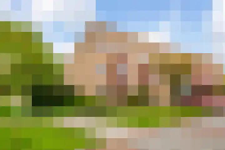 Kompas 7 Nijkerk thumbnail 5