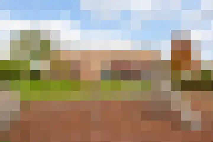Kompas 7 Nijkerk thumbnail 6