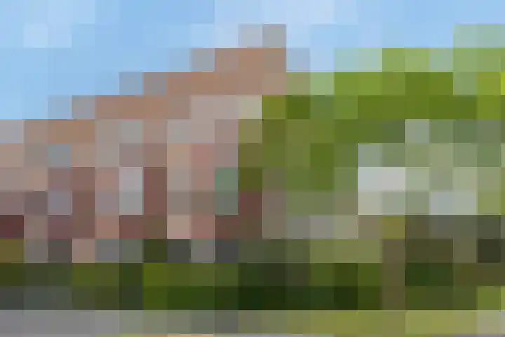 Kompas 9 Nijkerk thumbnail 37