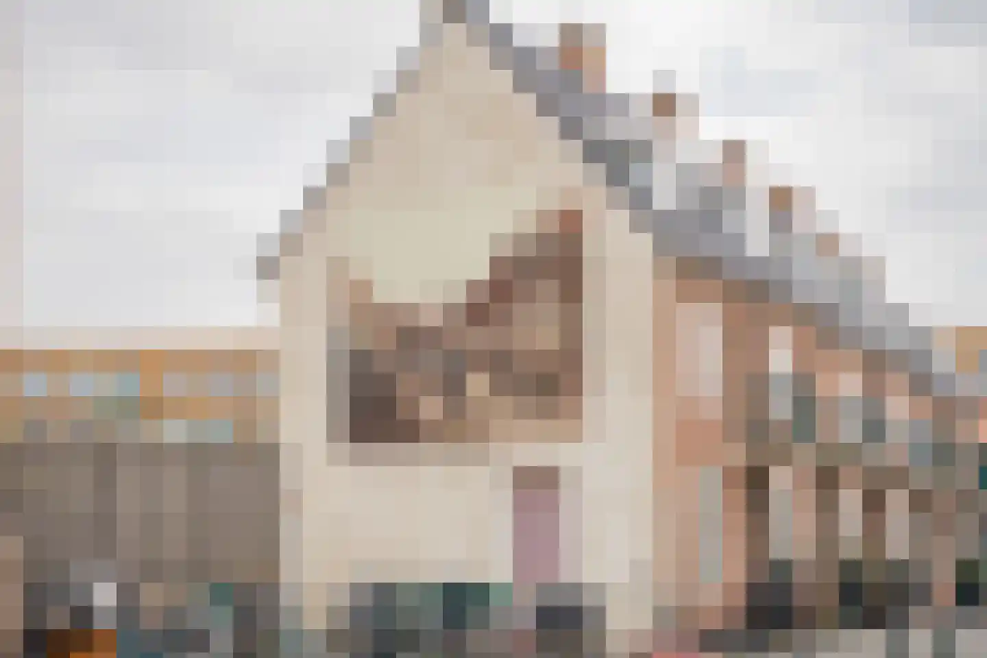 Kompasstraat 59 Den Haag thumbnail 27