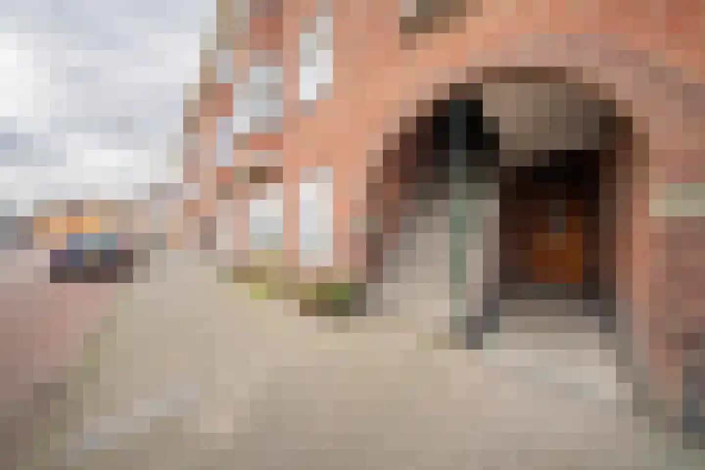 Kompasstraat 59 Den Haag thumbnail 5