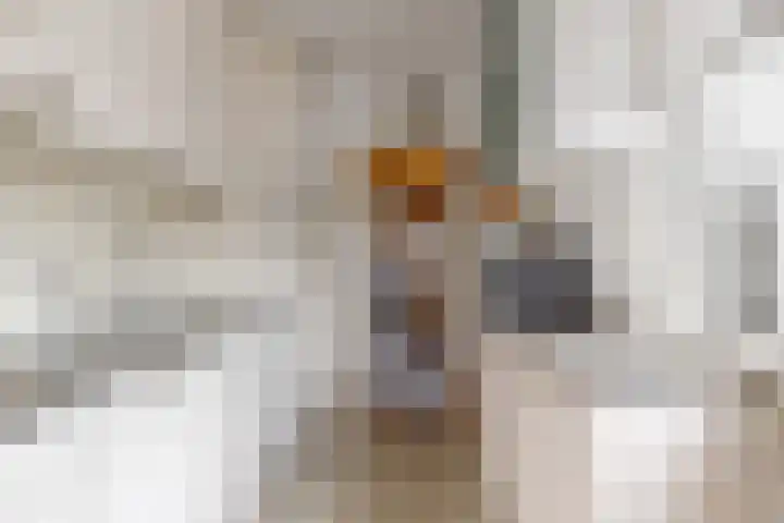 Kompasstraat 66 IJmuiden thumbnail 5