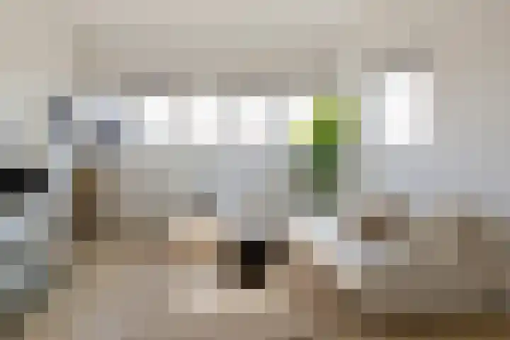 Kompasstraat 74 C IJmuiden thumbnail 8