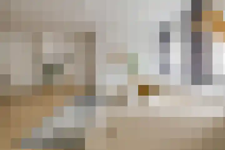 Kompasstraat 74 E IJmuiden thumbnail 8