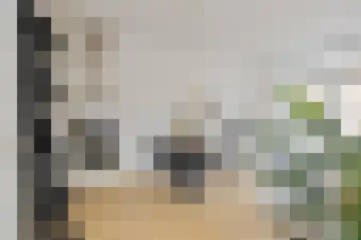 Kompasstraat 74 IJmuiden thumbnail 8