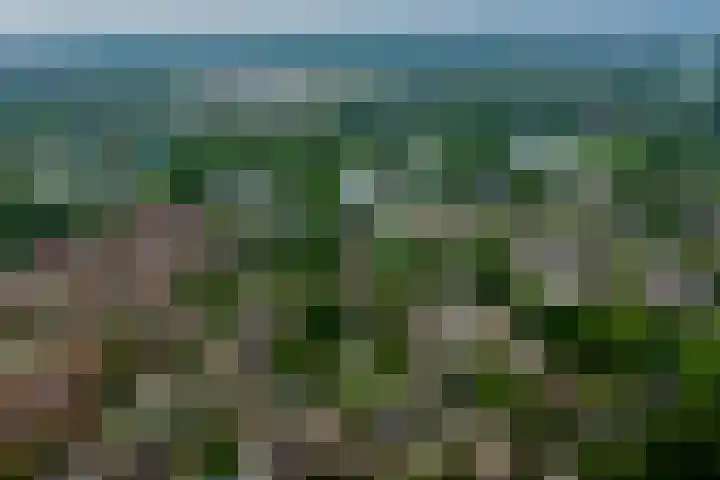 Kompasweg 39 Alkmaar thumbnail 16