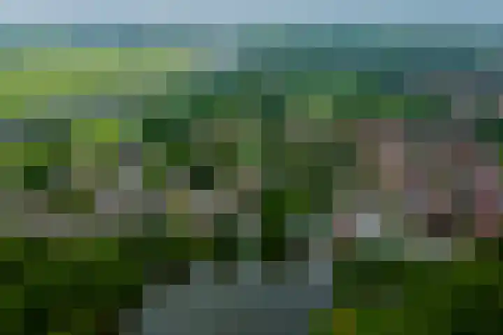 Kompasweg 39 Alkmaar thumbnail 4
