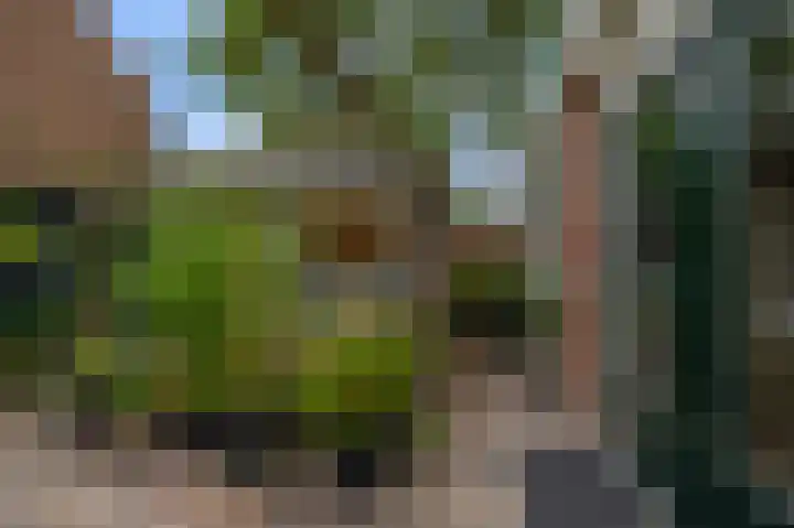 Kompasweg 61 Alkmaar thumbnail 32